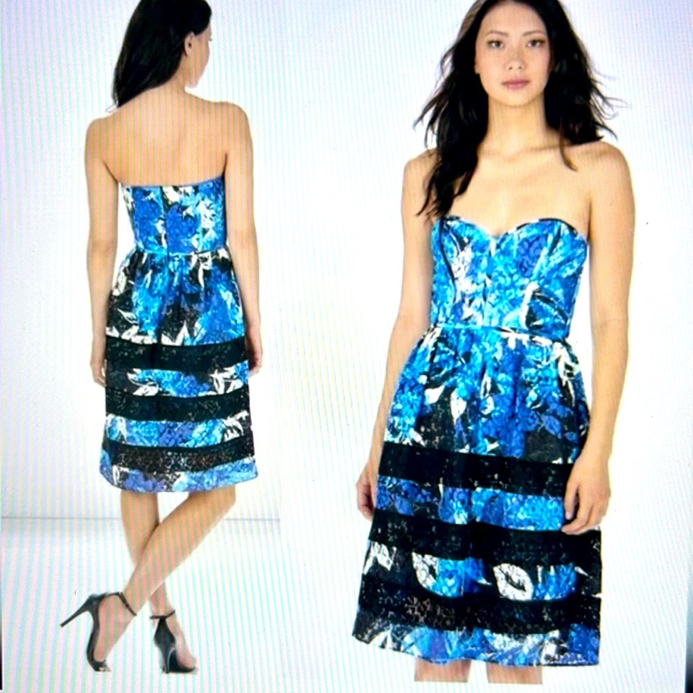 Parker Blue Gardenia Floral Lace Strapless Dress